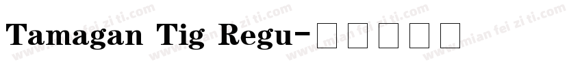 Tamagan Tig Regu字体转换